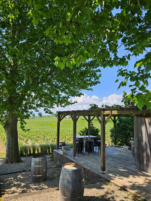 Château Petit Mangot's aperitif: charcuterie, cheeses, and wines - A small Saint-Émilion estate with a personal feel