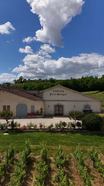 Château Petit Mangot's aperitif: charcuterie, cheeses, and wines - Should you book Château Petit Mangot?