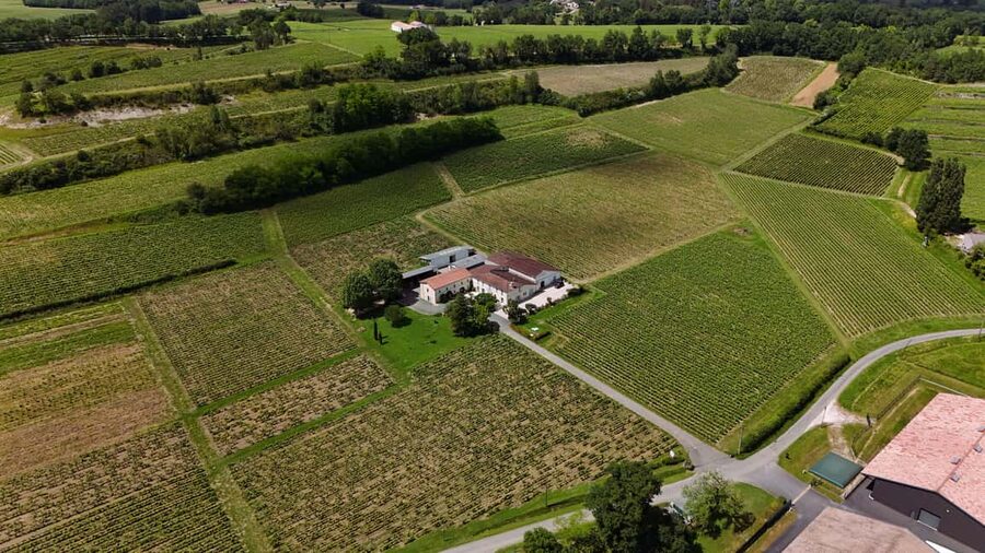 Château Petit Mangot's aperitif: charcuterie, cheeses, and wines - Starting among the vines and the Décamps family story