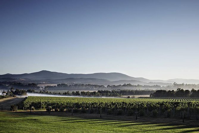 Chauffeured Cheese and Wine Tour with 3 Course Lunch - For 2 - Who should book this tour?