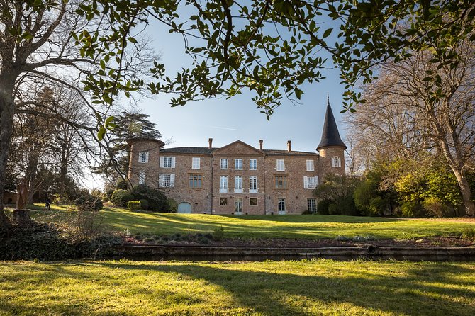 Cheese and Wine Accord Tour at Château de Champ-Renard - The vineyard walk and Beaujolais terroir