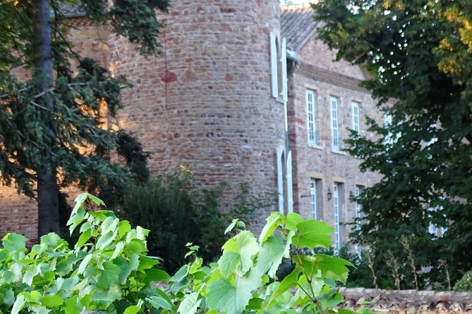 Cheese and Wine Accord Tour at Château de Champ-Renard - The role of the guide