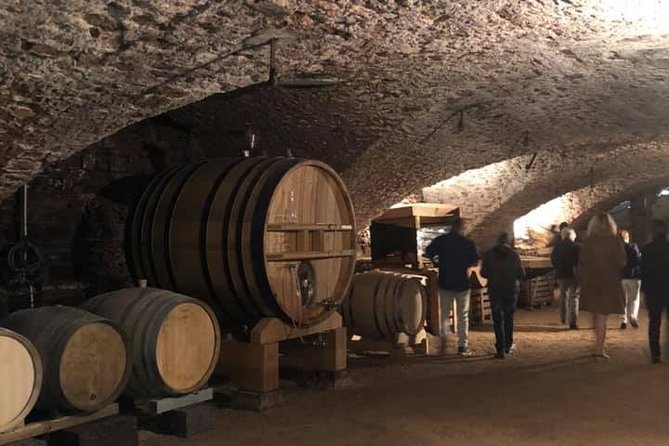Cheese and Wine Accord Tour at Château de Champ-Renard - Is $57.62 good value?