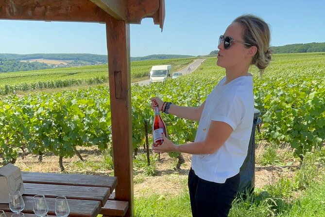 Cheese and Wine Pairing 1-Hour Session in Dijon - Why the Small Group Helps