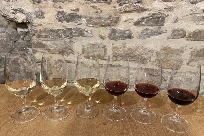 Cheese and Wine Pairing 1-Hour Session in Dijon - Who Will Enjoy It Most?