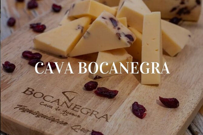 Cheese and Wine Route with 2 Towns, starting from Querétaro - Cheese first, wine second at Vina Tx