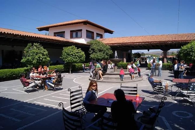 Cheese and Wine Route with 2 Towns, starting from Querétaro - The guide can shape the whole day