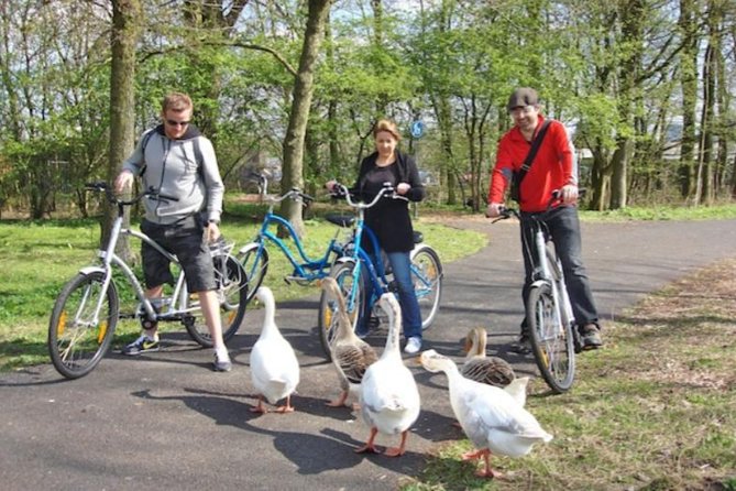 Cheese, Canals & Windmill Countryside E-Bike Tour Amsterdam - Ransdorp and the lowlands from the church tower