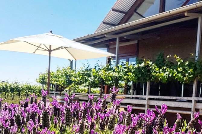Cheese + Chill - Arriving at Yarran Wines on Myall Park Road