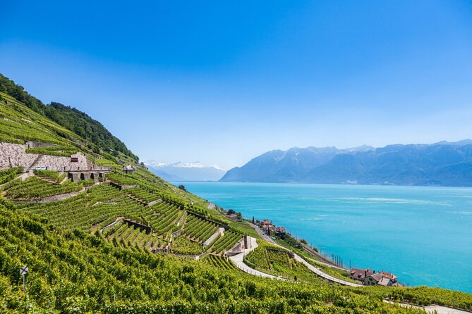 Cheese, Choc, and Culture: Private Tour to Gruyères from Geneva - Lavaux Vineyard Terraces and the final view