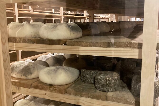 Cheese Factory Workshop with Wine Tasting in Requena, Valencia - Leaving Valencia for Utiel-Requena
