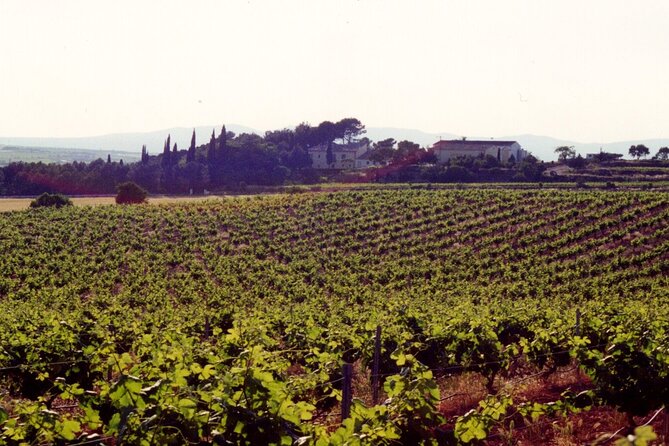 Cheese Factory Workshop with Wine Tasting in Requena, Valencia - Eight cheeses and drinks: Bring an adventurous palate