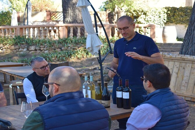 Cheese Factory Workshop with Wine Tasting in Requena, Valencia - On to Vera de Estenas Winery