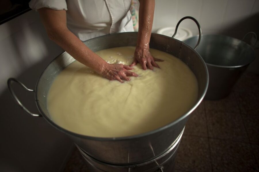Cheese Making and Tasting Tour from Cagliari with Lunch - Pecorino, ricotta, and the role of mold