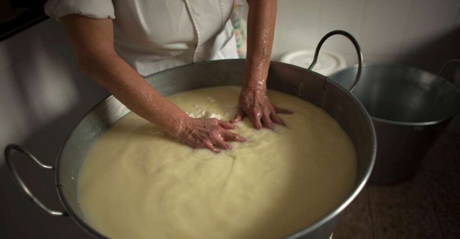 Cheese Making and Tasting Tour from Cagliari with Lunch - How the private format changes the day