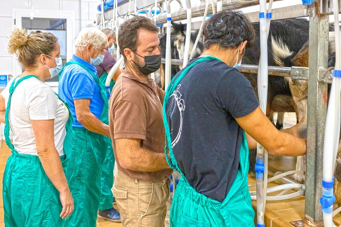 Cheese Making Workshop in Fuerteventura with Breakfast - Why Majorero cheese is worth meeting at the farm