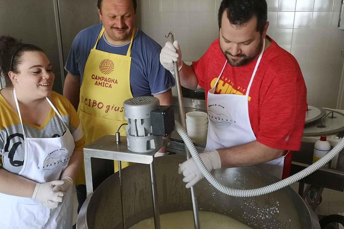 Cheese & ricotta making – Teramo (Abruzzo) Italy - Cutting curd and shaping pecorino