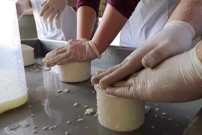 Cheese & ricotta making – Teramo (Abruzzo) Italy - Visiting sheep, goats, cows, and shepherd dogs