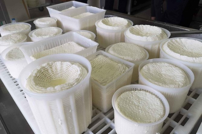 Cheese & ricotta making – Teramo (Abruzzo) Italy - Olive oil, salami, prosciutto, and local wine