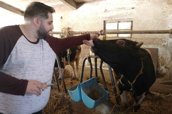Cheese & ricotta making – Teramo (Abruzzo) Italy - Is $289.20 good value?