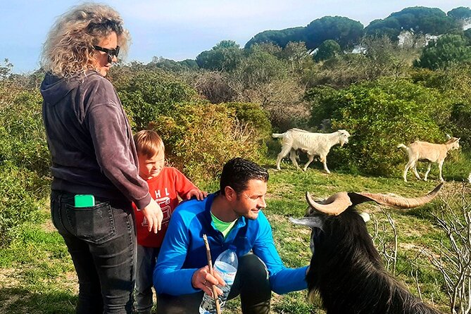 Cheese Walk & Atelier with a Goat Shepherd in Aoleão - A small regional picnic to finish