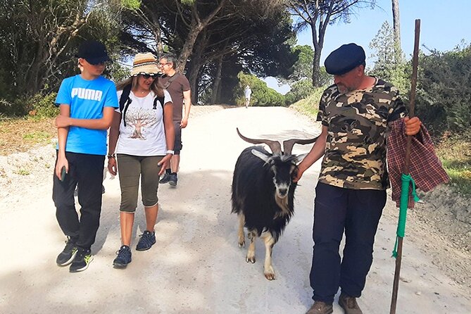 Cheese Walk & Atelier with a Goat Shepherd in Aoleão - What the $96.79 price includes