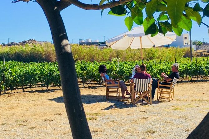 Cheese & Wine Trails - Naxos - Why the small group matters