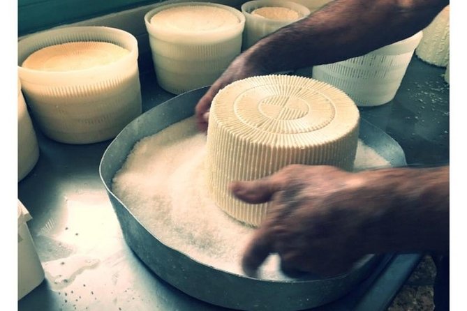 Cheese & Wine Trails - Naxos - Timing, transport, and practical planning