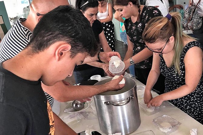 Cheesemaker for a day & visit to the dairy - Key points to know before booking