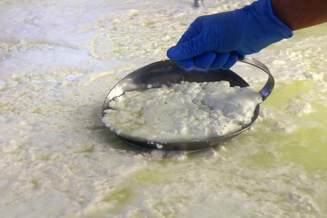 Cheesemaker for a day & visit to the dairy - Making ricotta and shaping your own cheese