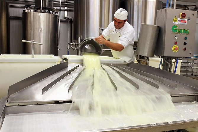 Cheesemaker for a day & visit to the dairy - Pecorino and caprino at the center of the visit