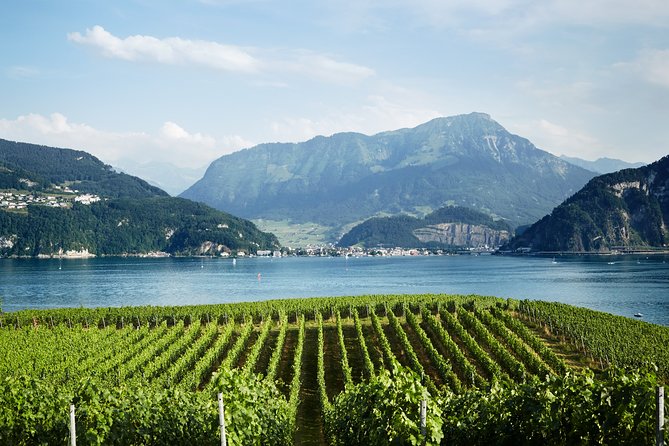 Chocolate, Cheese and Wine Tour in Luzern region - The $879.41 price and what it buys