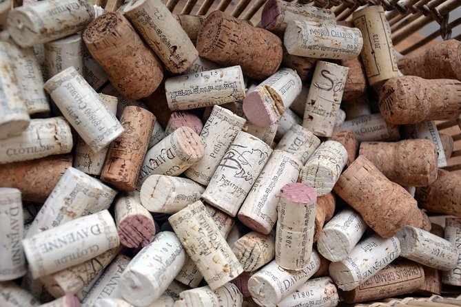 Clotilde Davenne wine and cheese pairing tasting in Chablis - Who will enjoy this Chablis tasting most?