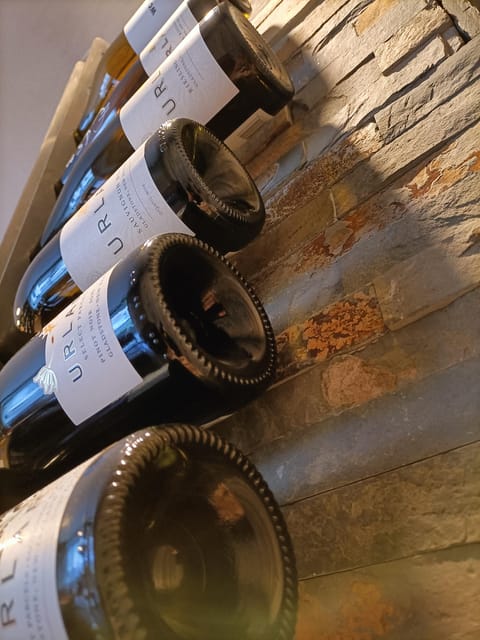 Como: Wine Tasting Experience with Cheese and Cold Cuts - What makes the wine selection worthwhile