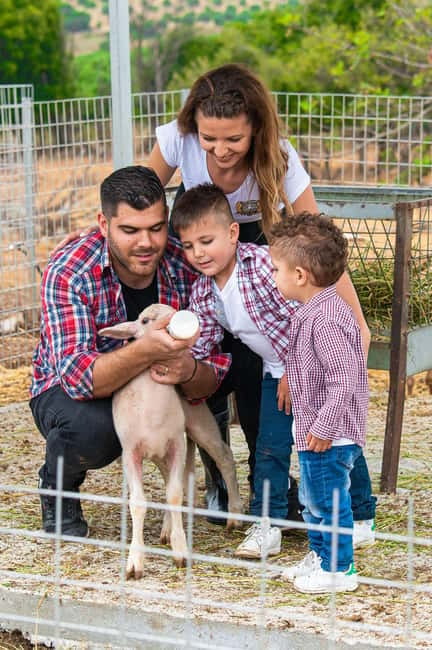 Crete: Farm Visit with Cheese Tasting and Milking Experience - At a Glance: What Makes This Farm Visit Special