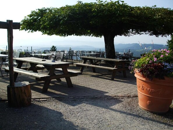 Culinary Tour from Zurich with Traditional Swiss Cheese Fondue Dinner - Key things to know before booking