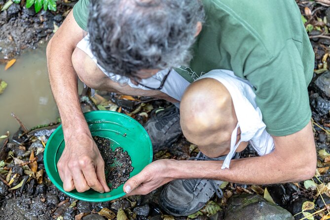 Czech garnet panning, scenic drive, farm & cheese, lunch & beer - A goat farm with cheese and daily work