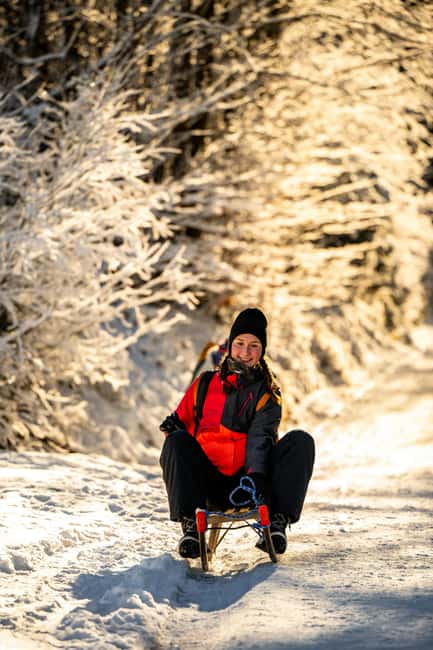 Day/Night Sledding + ALL-YOU-CAN-EAT Cheese&Chocolate Fondue - From Interlaken to the mountain at dusk