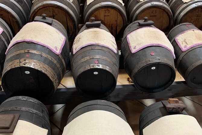 Day Tour Parmigiano, Ferrari Museum, Balsamic, Lambrusco, Lunch with Transfer - Lunch at a family-run agriturismo