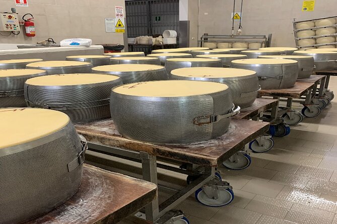 Day Tour Parmigiano, Ferrari Museum, Balsamic, Lambrusco, Lunch with Transfer - Lambrusco in Castelvetro di Modena