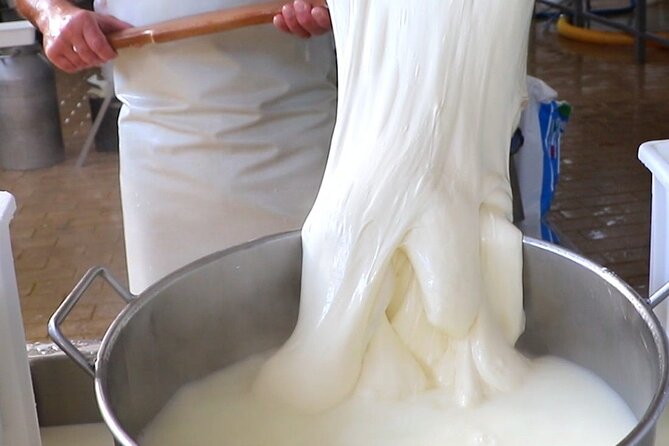 Deluxe Experience: Mozzarella, Oil and Wine Tasting on the Amalfi Coast - Tramonti and the art of making mozzarella