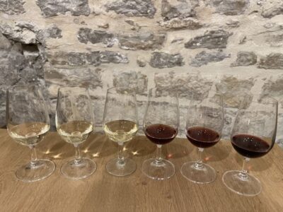 Cheese and Burgundy Wine Tasting Workshop