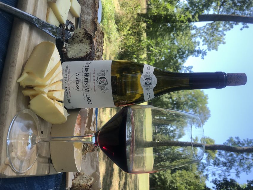 Dijon: Cheese and Burgundy Wine Tasting Workshop - Burgundy explained without the fuss