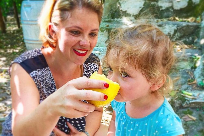 Discover Sorrento with food tasting and walking Tour - Under the lemon grove