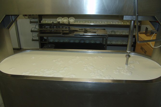 Discover the Art of Idiazabal Cheese in the Basque Country - Why Idiazabal cheese is worth a morning
