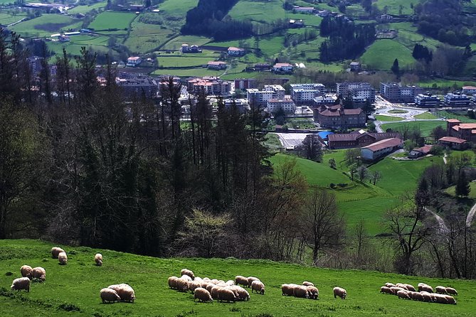 Discover the Art of Idiazabal Cheese in the Basque Country - Who will enjoy this experience most