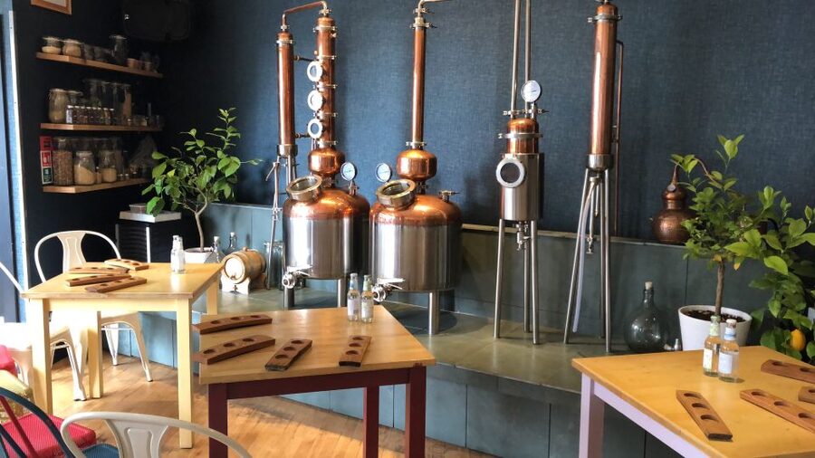 Distillery Masterclass - 8 Scottish gins paired with cheeses - Key points to know before booking