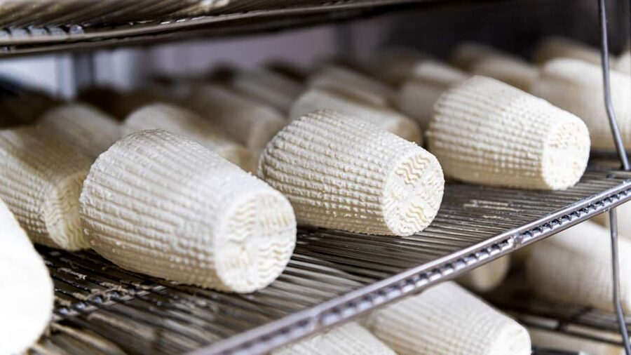 Dolianova: visit and workshop in a cheese factory - Key points at a glance