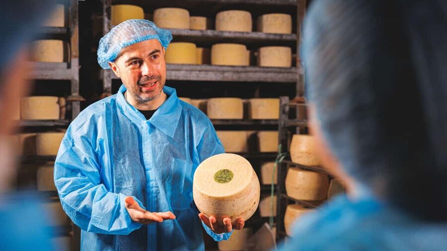 Dolianova: visit and workshop in a cheese factory - How much value do you get for $84?
