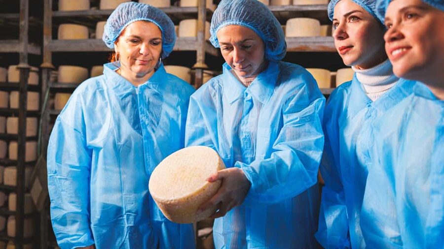 Dolianova: visit and workshop in a cheese factory - Who should book this Dolianova experience?